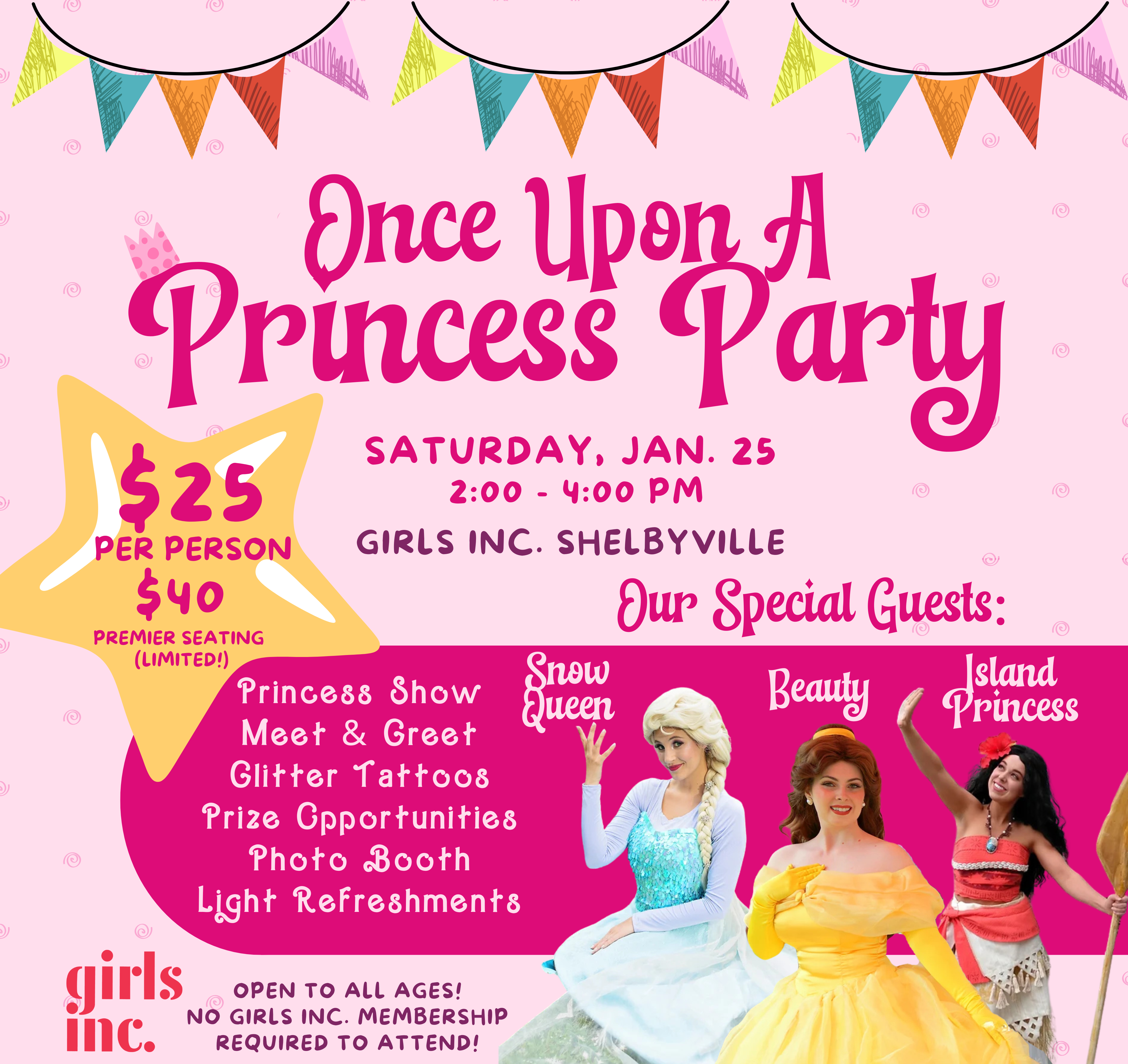 Once Upon A Princess Party!